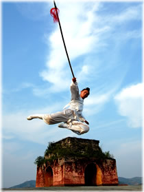 Wudang Martial Arts